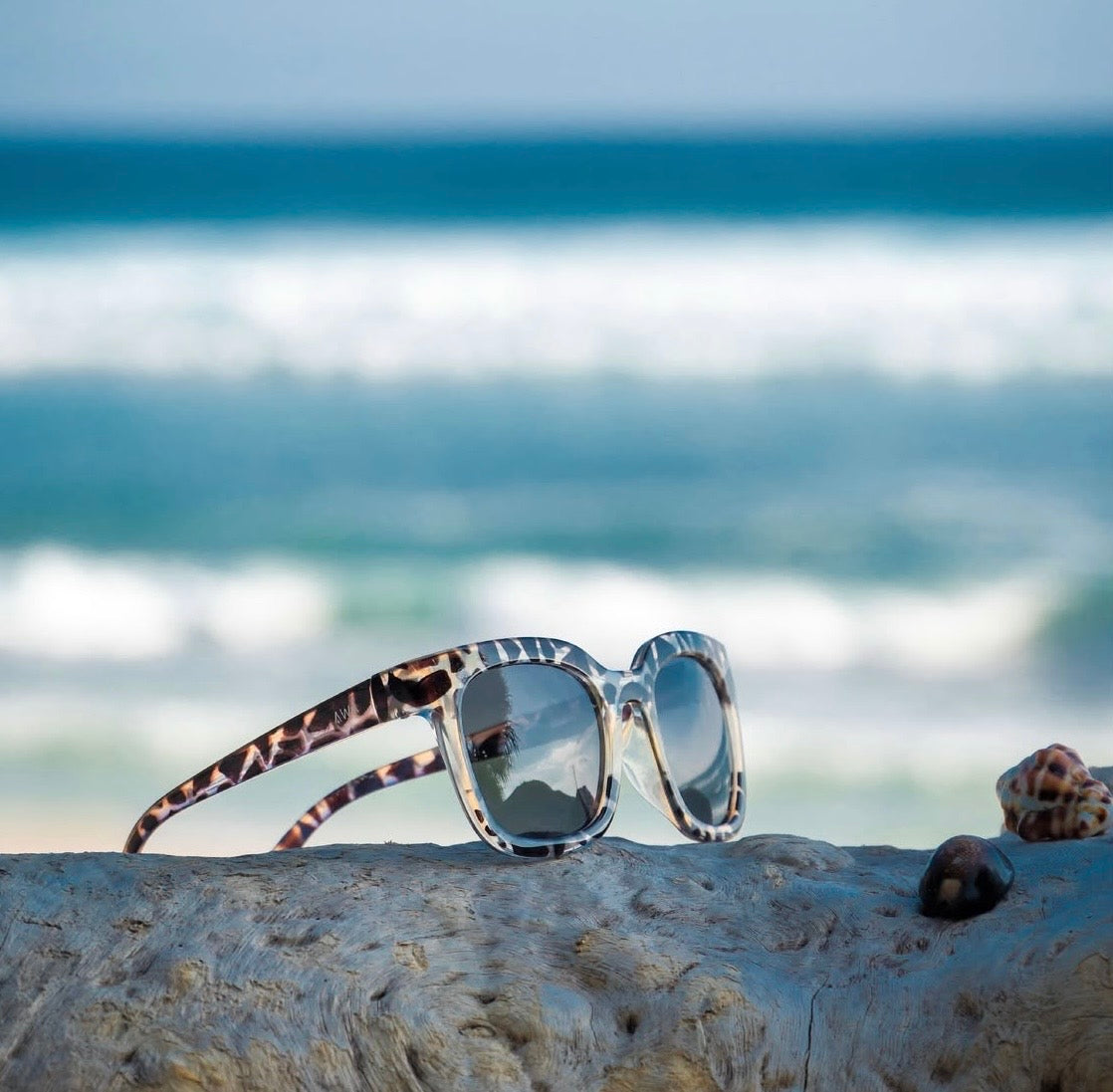 Blanes Tortoise Collection