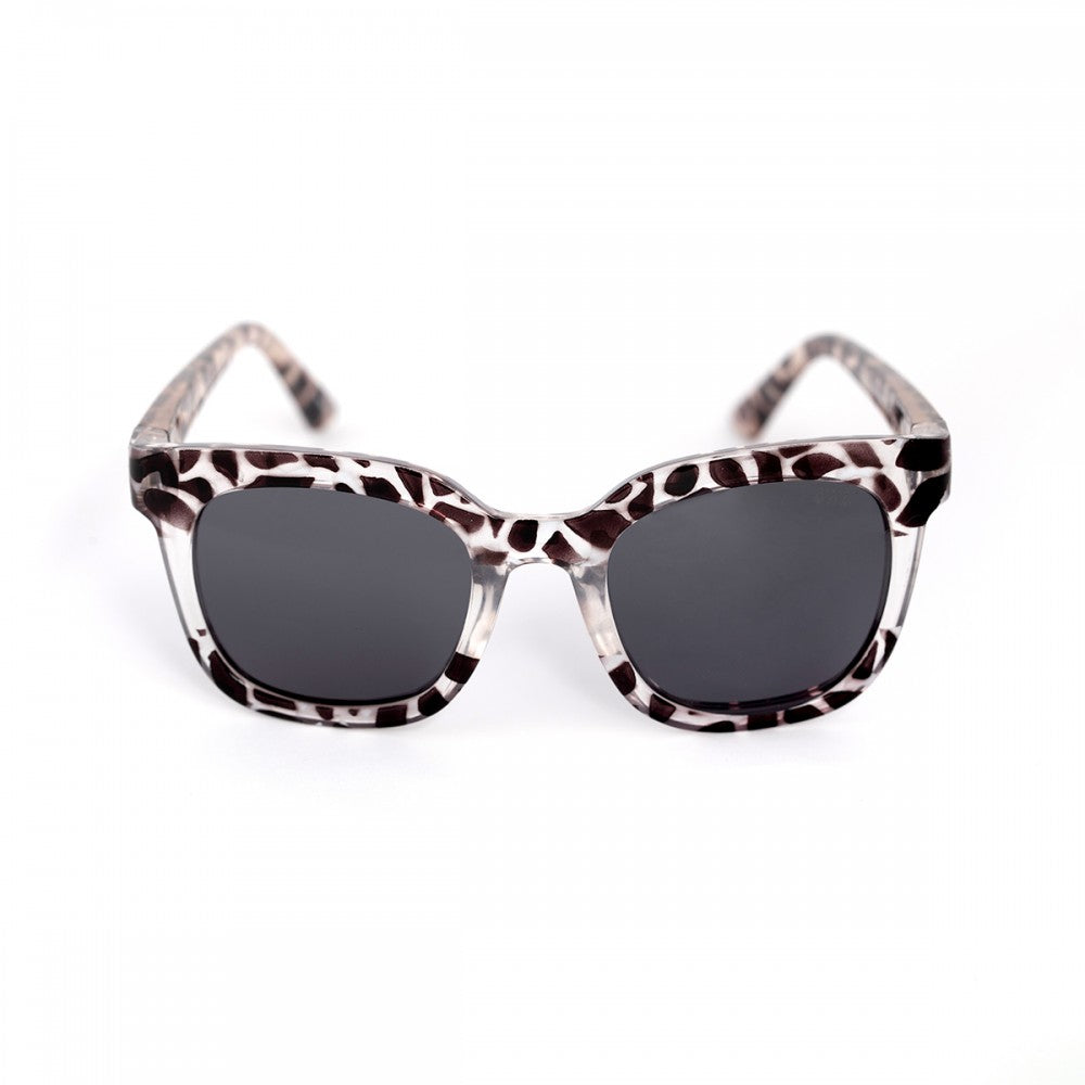 Blanes Tortoise Collection